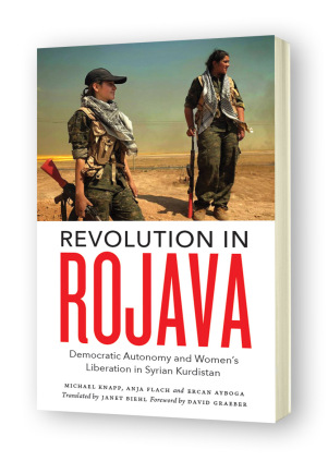 book, Kurdistan, Rojava, revolution, solidarity