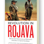 book, Kurdistan, Rojava, revolution, solidarity