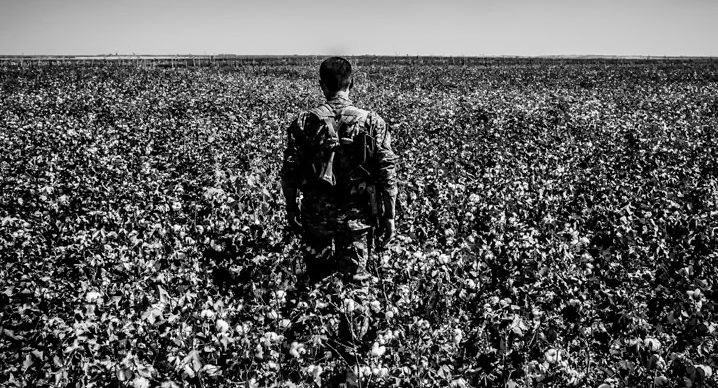 Rojava, field, soldier, Kurdistan, Afrin