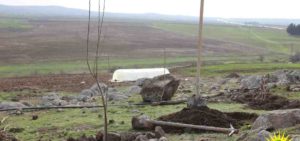 Rojava, Internationalist Commune, Rojava, Kurdistan, Syria, Make Rojava Green Again, reforestation, ecology