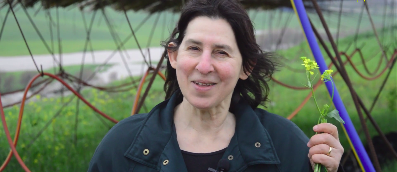 Debbie Bookchin, Rojava, Internationalist Commune